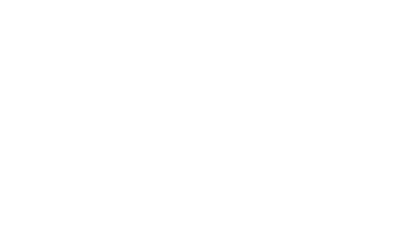 Alegría — Cirque du Soleil